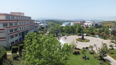 Istanbul Okan University