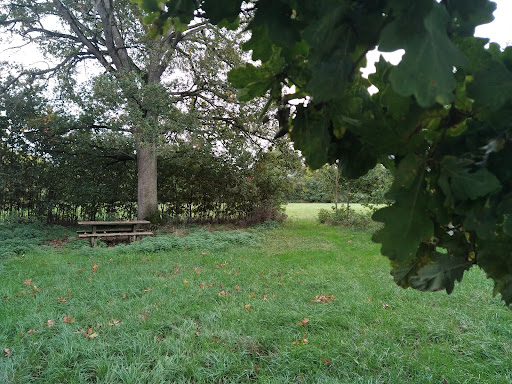 picnique au bord du Don - Thumbnail