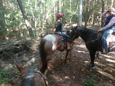 Fern Camp Cascade