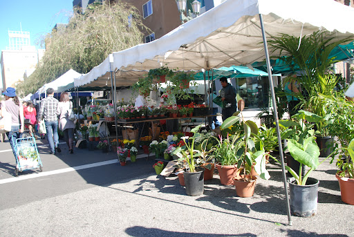 Hollywood Farmers’ Market