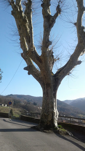 Ex Convento Cappuccini - Thumbnail