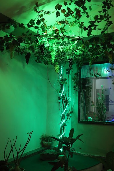 Photos of Hotel Moon International