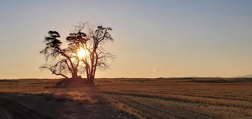 Wells Wildlife Area - Thumbnail