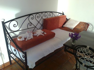 Photos of Les Jardins D Azrou
