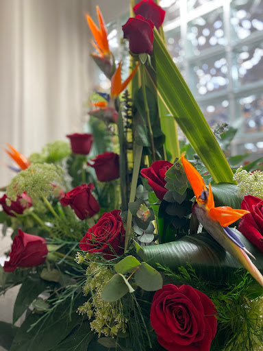 16 Flors - Visual