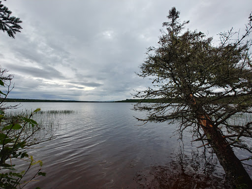 Feldtmann Lake Campground