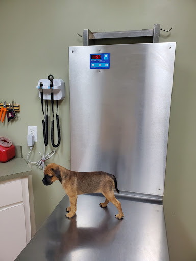 Central Baldwin Veterinary Hospital - Thumbnail