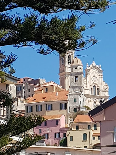 Cervo Vini - Visual