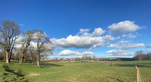 Bathgate - Visual