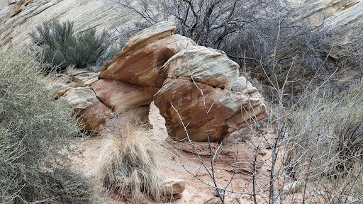 Grand Wash Trailhead - Thumbnail