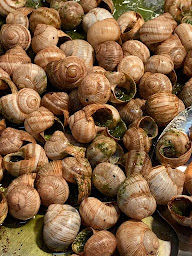 Photo n°44 de Le Panda à Waziers (Restaurant de sushis)