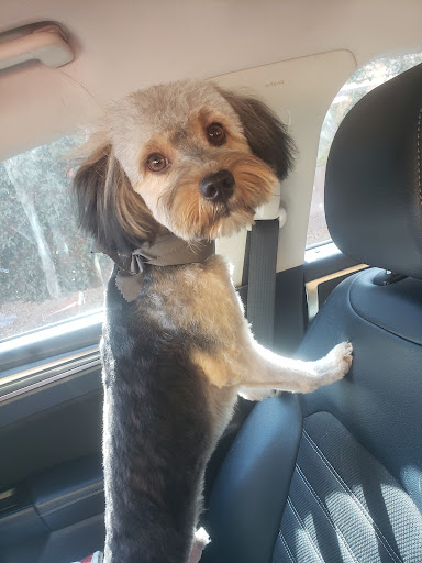 Pets Choice Grooming and Supply