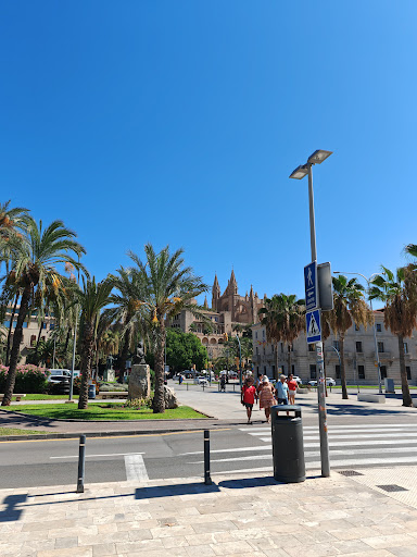 Parking palma - Thumbnail
