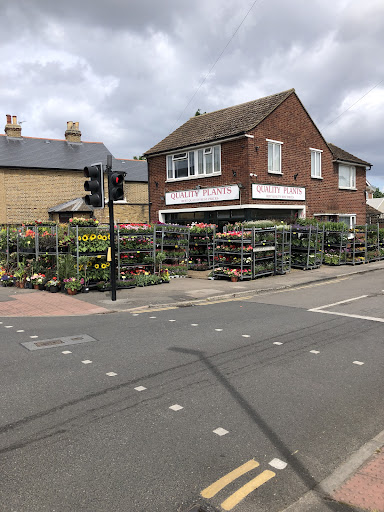 Quality Plants - Visual