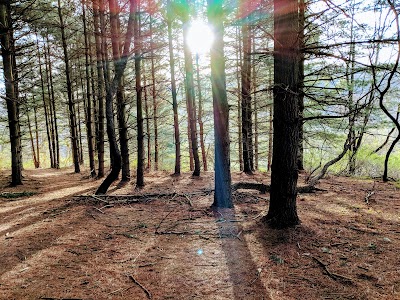 Bear Branch Nature Center