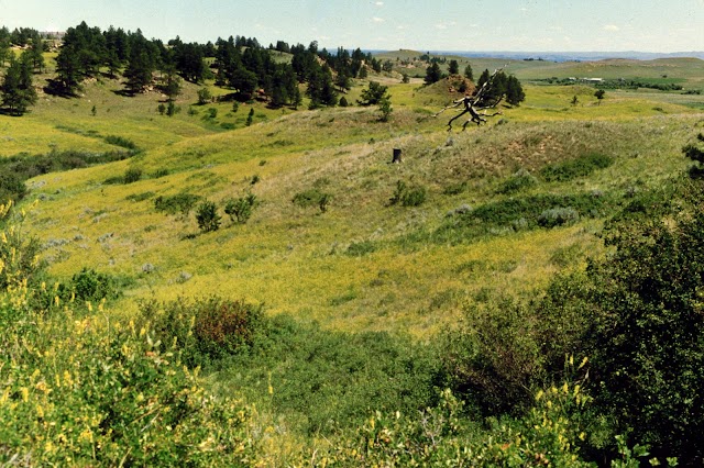 Little Bighorn Battlefield
