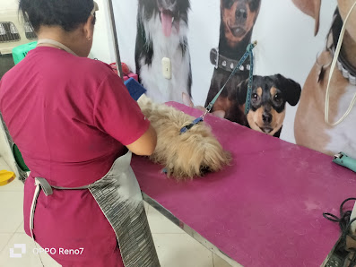 Fotografía de Veterinaria 24 Horas Del propietario