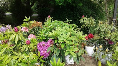 Photos of Vivero puerto montt