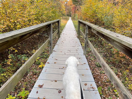 Stone Bridge loop trail - Visual