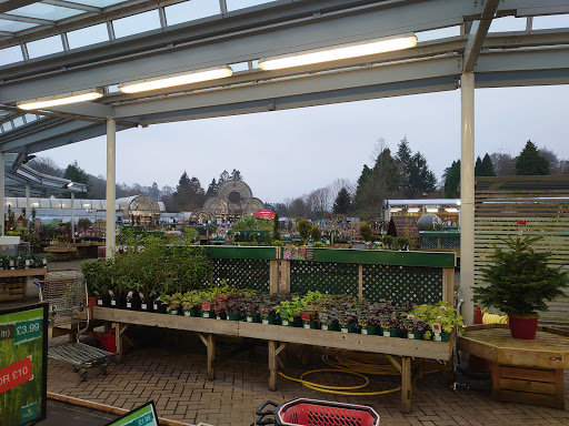 Hayes Garden Centre - Thumbnail