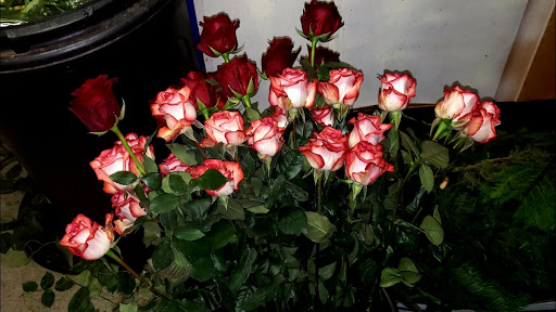 Celebrations Florist & Gifts - Thumbnail