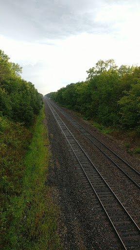 The Train Bridge - Visual