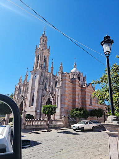 Principal Tepetongo Zacatecas Garden