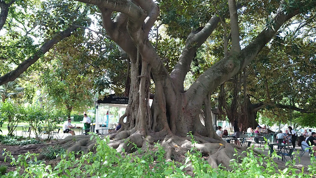 Jardim Botânico de Lisboa Número de telefone