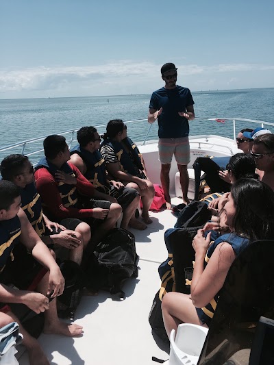 Photos of All In Watersports L.L.C.