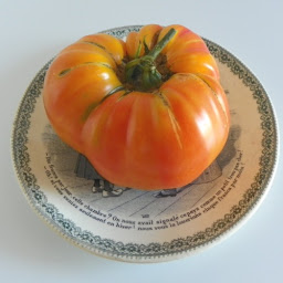 Photo n°24 de Plants & Bio à Chemillé-en-Anjou (Ferme bio)