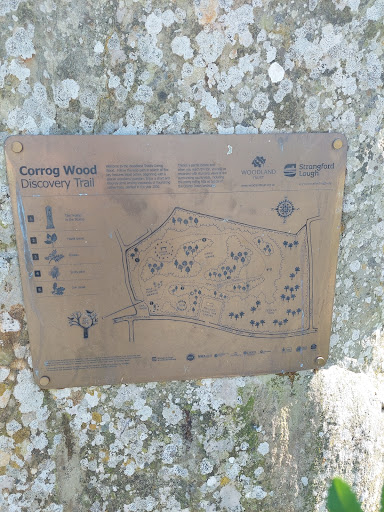 Corrog Wood - Thumbnail