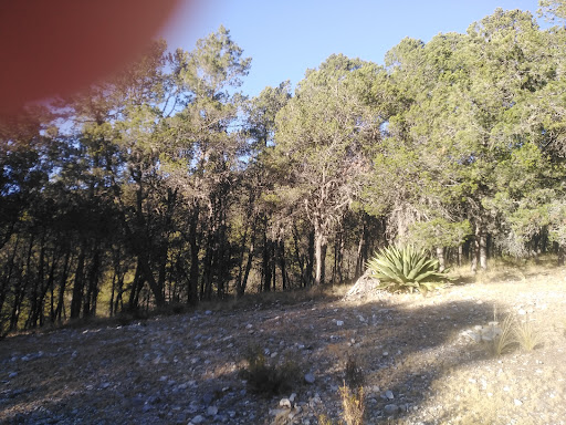 Camping & Senderismo Cañón De Los Ovnis Gallery - Mexico