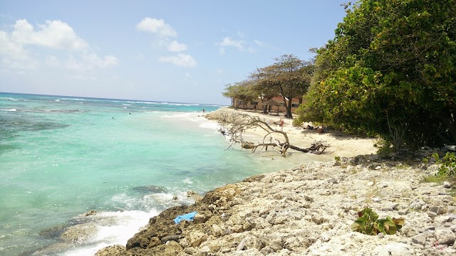 Plage des Raisins Clairs