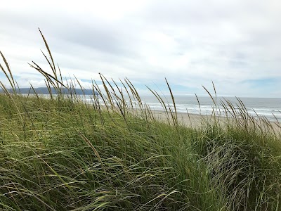 Del Rey Beach State Recreational Area Parking.