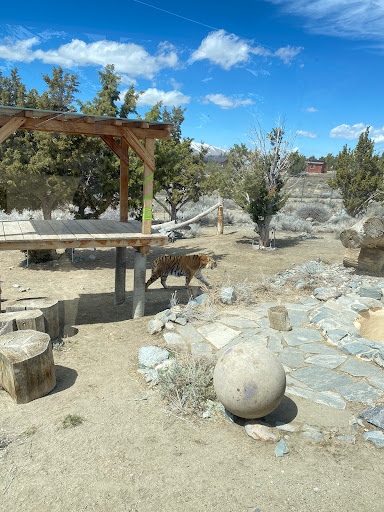 Animal Ark Bus parking