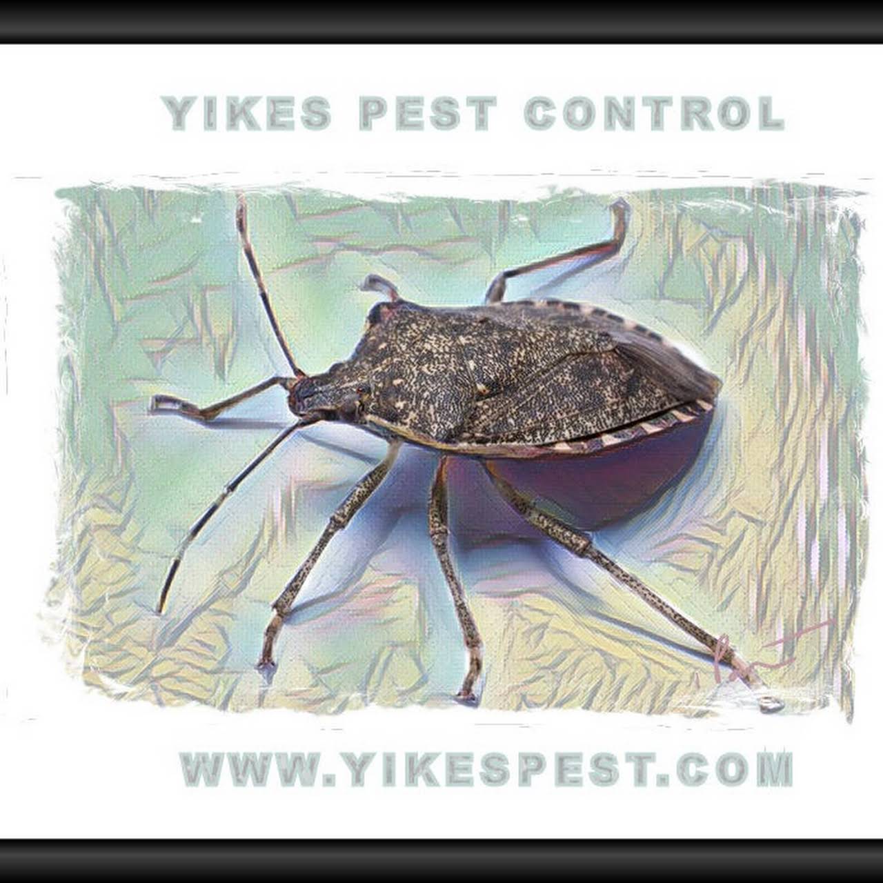 2021 Pest Control Cost Calculator - Evansville, Indiana - Manta