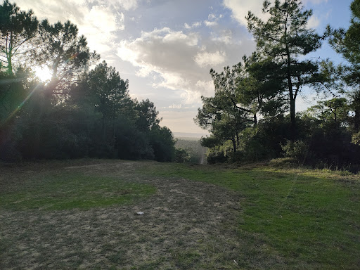 Parking Forestier du Gardour - Thumbnail