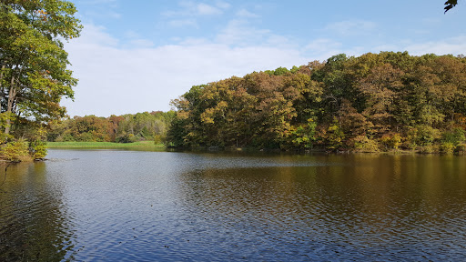 Shimek State Forest - Lick Creek Unit