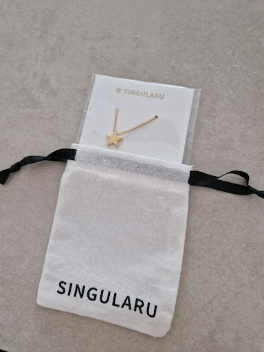 SINGULARU - Visual
