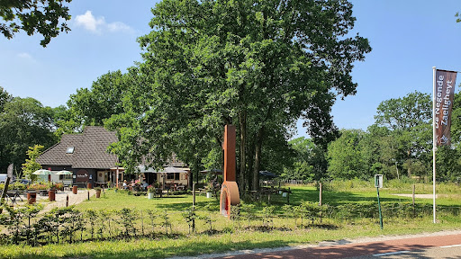 site_photo2