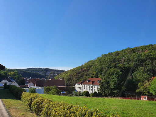 Cleeberger Lamas - Thumbnail