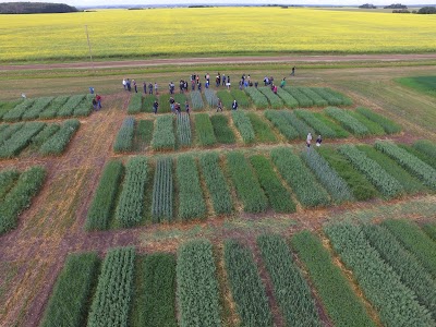 photo of Peace Country Beef & Forage Association