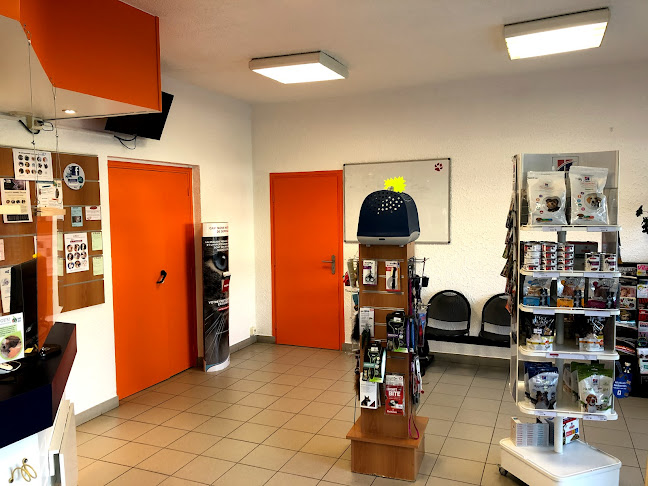 Opinii despre Clinique vétérinaire Val de Gally în Fresnes - Vétérinaire