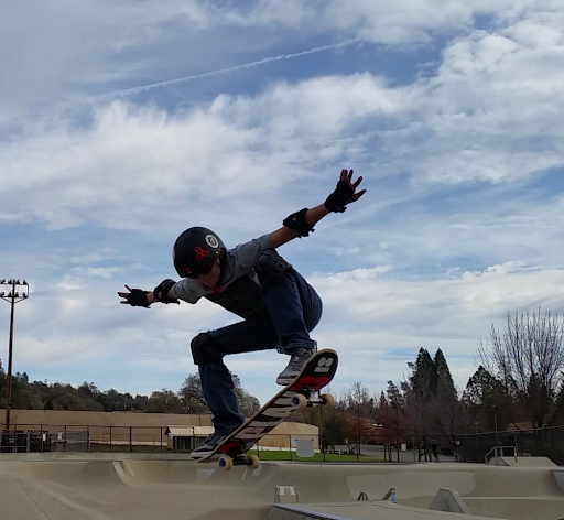Joe's Skate Park Gallery - United States