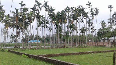 Photos of Nagpara Mosque