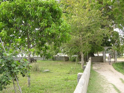 Photos of Matu Bhuyah Bazer