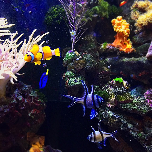 Restaurant La Baie d'Halong