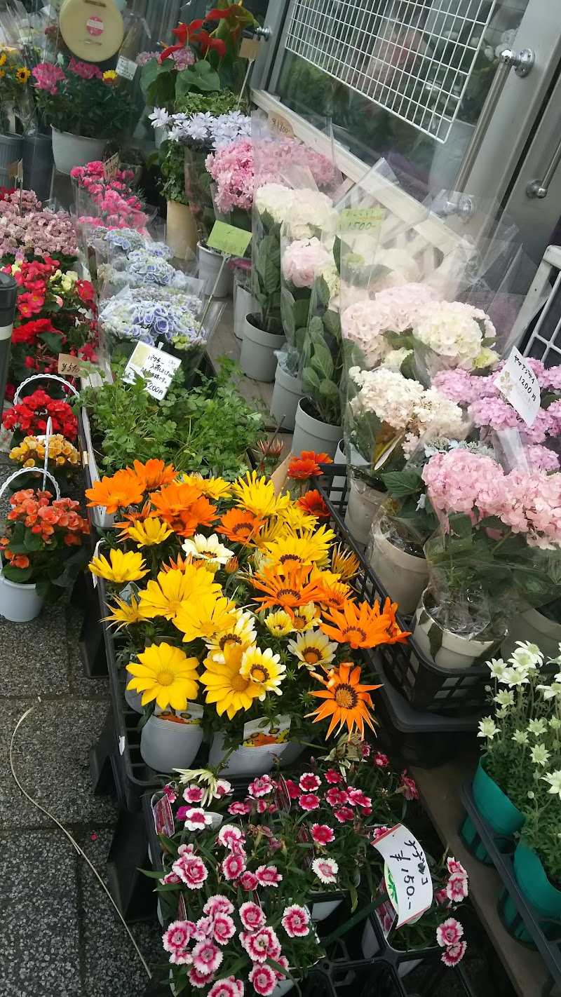 小田原フラワー 神奈川県小田原市城山 花屋 花 グルコミ