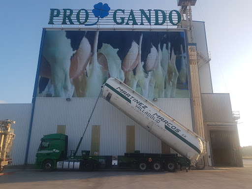 Progando - Visual