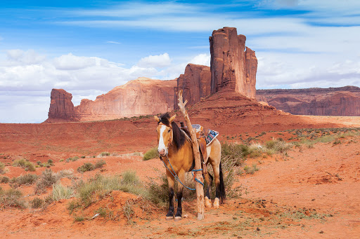 Camel Butte - Visual